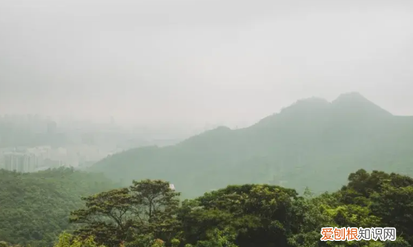 深圳凤凰山海拔多少米,深圳凤凰山海拔高度多少米