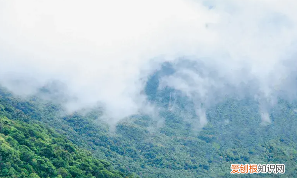 深圳凤凰山海拔多少米,深圳凤凰山海拔高度多少米