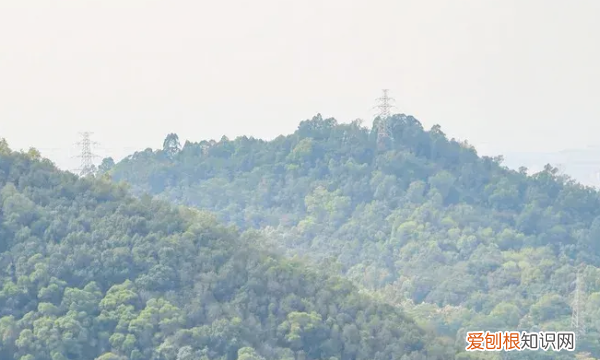 深圳凤凰山海拔多少米,深圳凤凰山海拔高度多少米