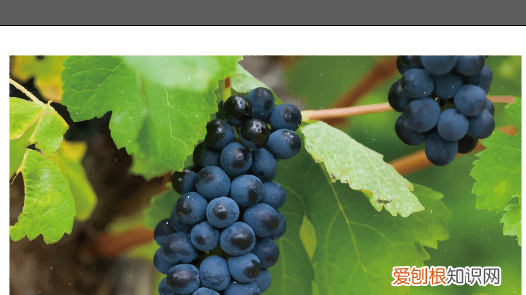 如何转换成矢量图,ai中要怎样把转矢量图