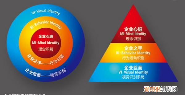 Mi是什么细胞器，细胞器的缩写都是什么意思