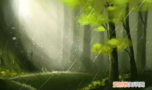 花重锦官城的翻译是什么，晓看红湿处花重锦官城的意思