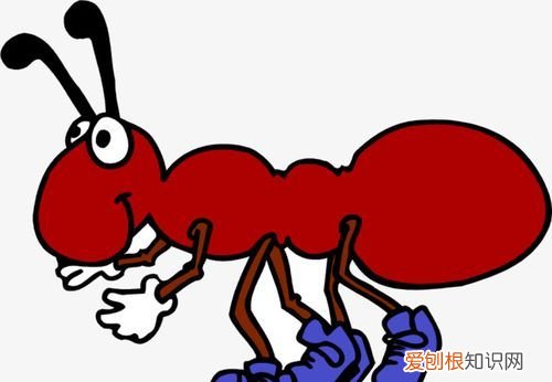 红色蚂蚁是什么蚂蚁，金色蚂蚁是什么蚂蚁