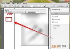 pdf应该如何才能插入图片，WPS为什么不能插入PDF图片