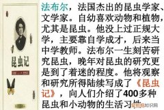 法布尔是法国的什么，法布尔是法国著名的什么家什么家