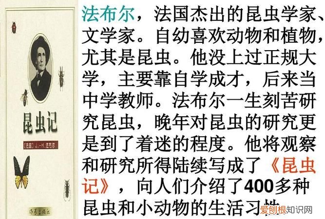 法布尔是法国的什么,法布尔是法国著名的什么家什么家