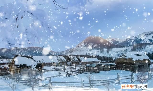 严寒冬月数九寒天 冬渐深,天渐寒