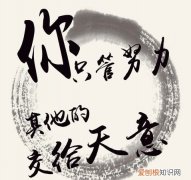 其他交给天意的上一句，做好该做的其他的交给天意的谚语