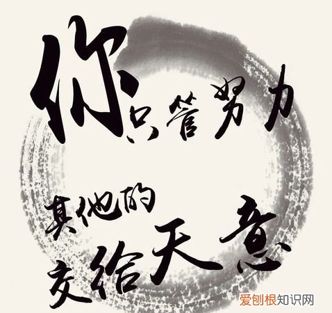 其他交给天意的上一句，做好该做的其他的交给天意的谚语