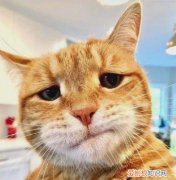 体积是什么单位，单位体积是指什么