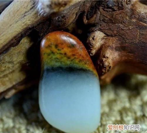 什么样的人是璞玉