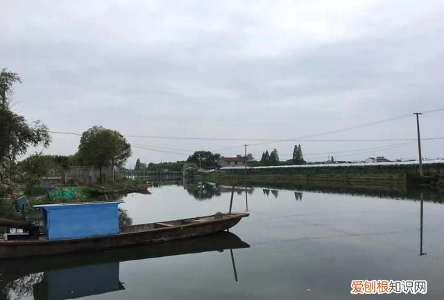 记忆中的水乡,兴化市记忆中的水乡