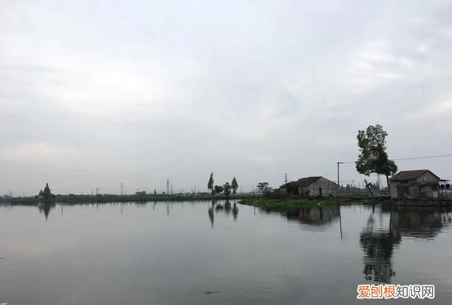 记忆中的水乡,兴化市记忆中的水乡