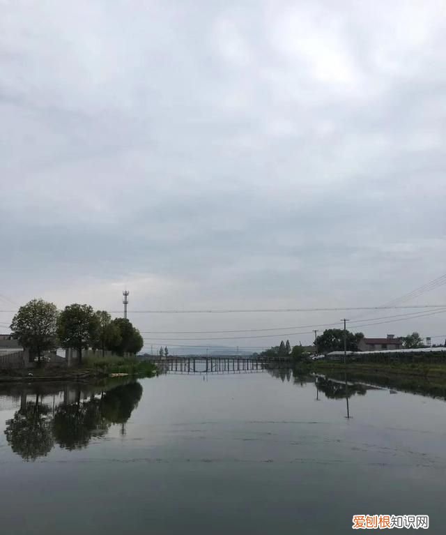 记忆中的水乡,兴化市记忆中的水乡