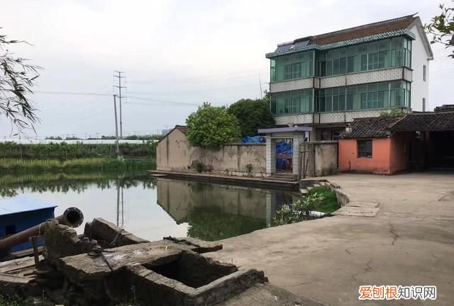 记忆中的水乡,兴化市记忆中的水乡