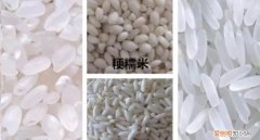 大米品种，大米一级二级三级区别