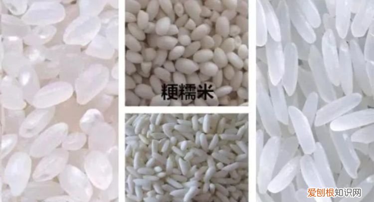 大米品种,大米一级二级三级区别