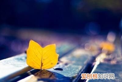 qq怎么@某个人，手机qq群消息怎么@全体成员