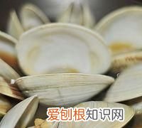 大贝壳怎么做好吃，四不像贝壳怎么做好吃