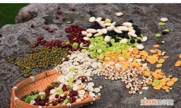 含钙的无机盐食物来源于，含锌的无机盐食物来源什么