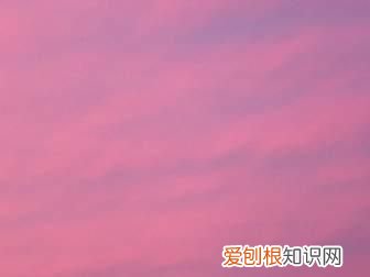 冷粉色系有哪些颜色，粉色有几种颜色和叫法