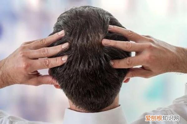 头发浓密的偏方