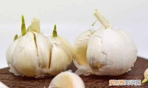 大蒜放了几个月还能吃,蒜放多长时间就不能吃了