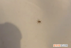 沈阳碧桂园玛丽蒂姆酒店价格