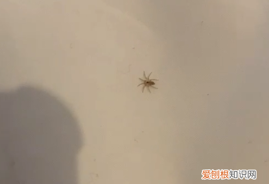 沈阳碧桂园玛丽蒂姆酒店价格