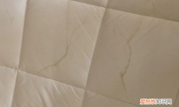 沈阳碧桂园玛丽蒂姆酒店价格