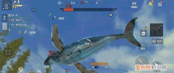 击浪丹怎么获得,妄想山海岳云鲲进化丹怎么获得