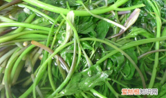 大叶芹怎么做好吃，大叶芹怎么腌好吃