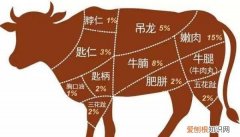 火锅在我国很多地方都有什么，潮汕火锅和普通火锅有什么区别