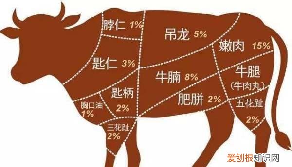 火锅在我国很多地方都有什么,潮汕火锅和普通火锅有什么区别