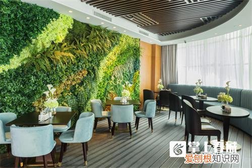 抚仙湖住宿攻略游记