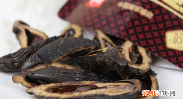 为什么槟榔要加叶子，新鲜槟榔为什么要加叶子和贝壳粉