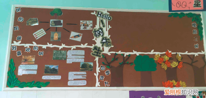 中班主题墙简单又漂亮