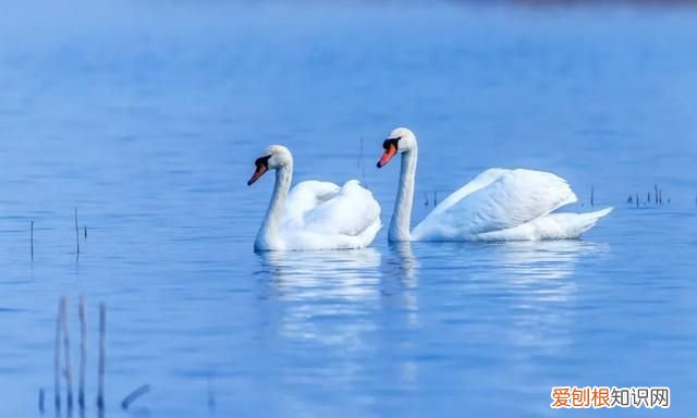 专家组房山调研,一天就发现这么多珍贵“小可爱”