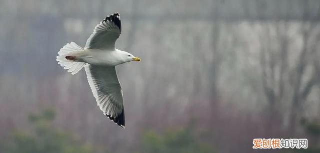 专家组房山调研,一天就发现这么多珍贵“小可爱”