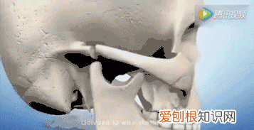 颧骨内推能推平吗 颧骨内推不建议推平