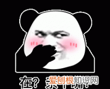 花批撩嘴的意思，秦岭神树吴邪的拍子撩哪来的