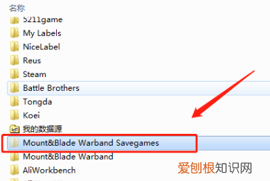 如何找到骑马与砍杀的存档，骑马与砍杀的存档在哪个文件夹