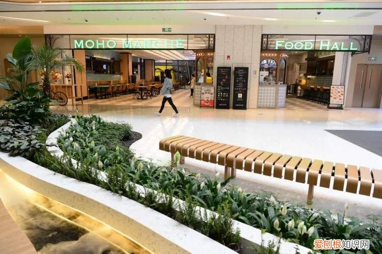 塔可钟中国有几家店了