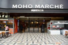 塔可钟中国有几家店了