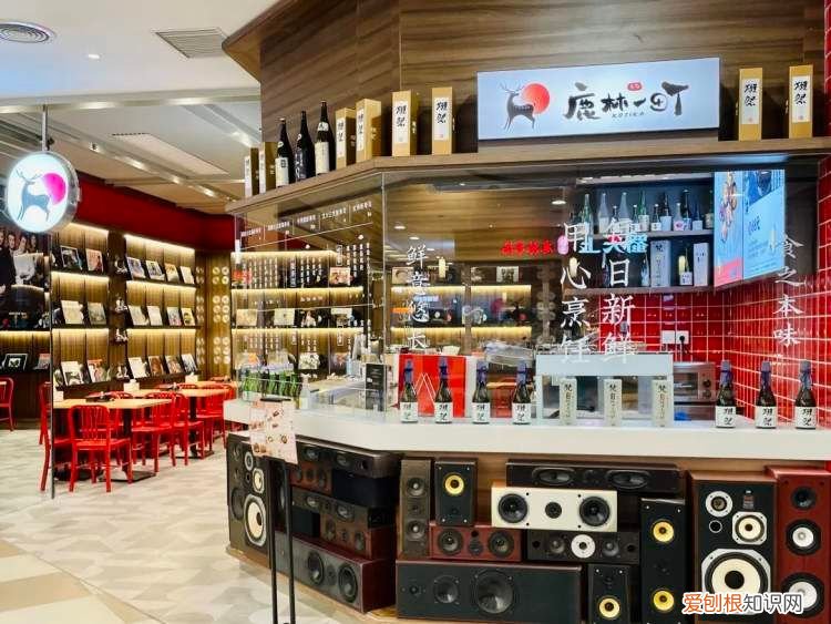 塔可钟中国有几家店了