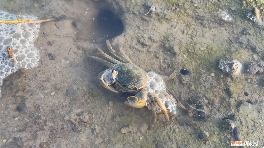 白边填充液是什么东西