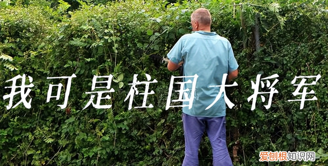 古代特别高大上的官职名称,古代有意思的官职名称