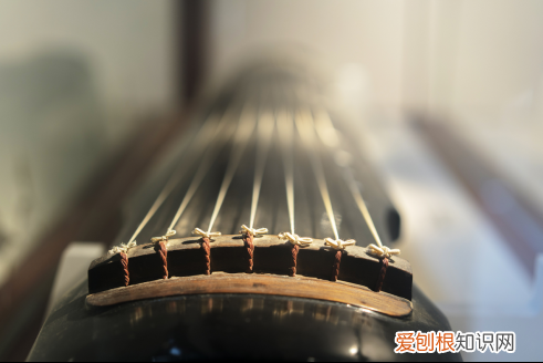 靳海音弦乐团小提琴手名单