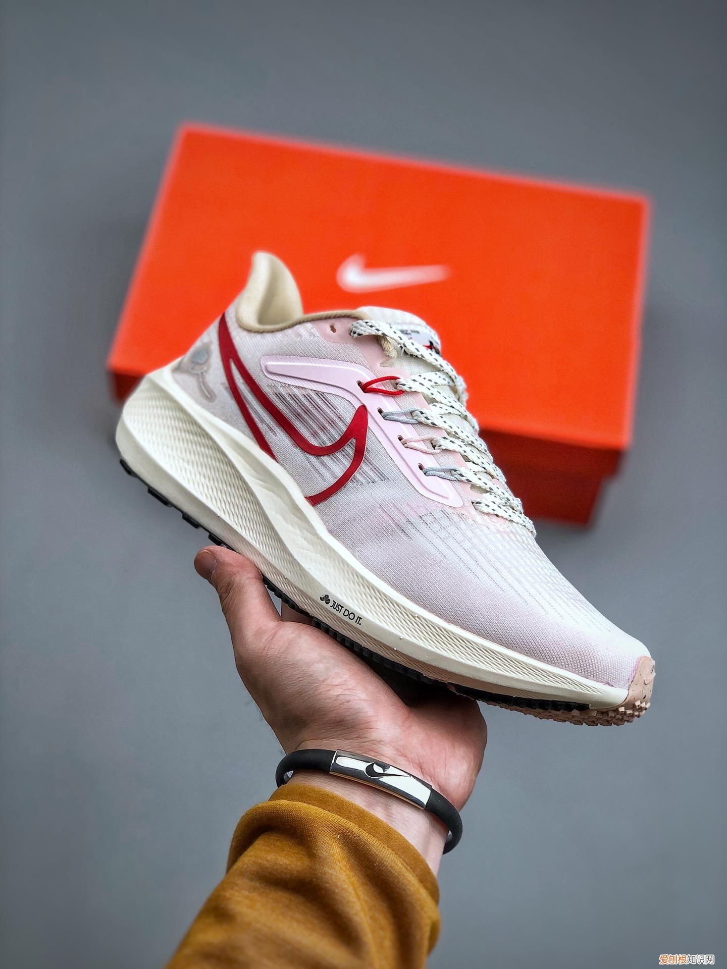 nikeairzoompegasus39