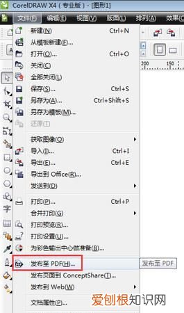 cdr要咋才可以导出成pdf